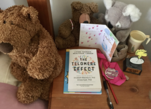 Perimenopause Health and Stress Perception